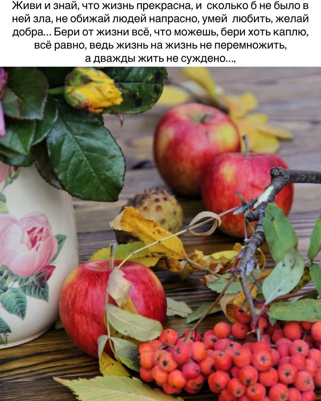 Желчегонные фрукты
