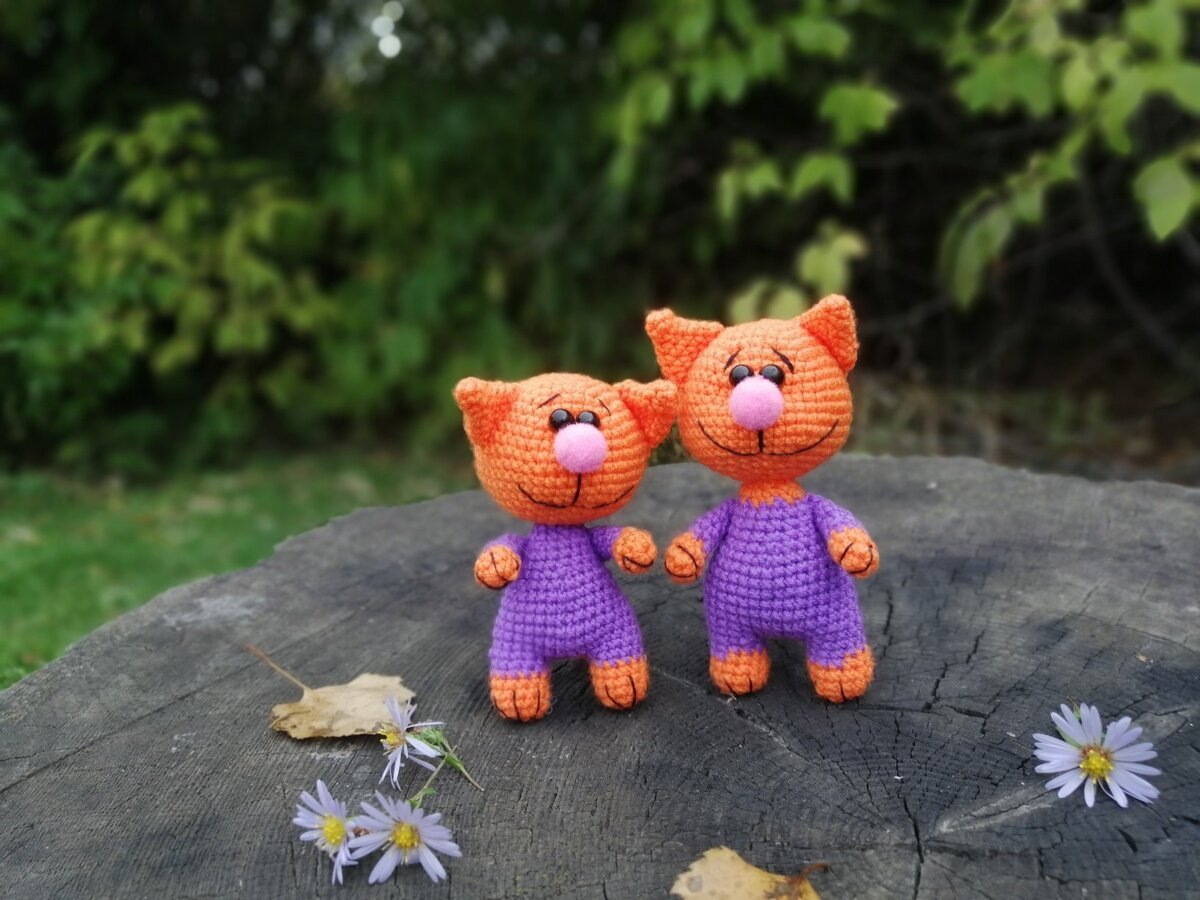 Амигуруми кот Воробей и петух