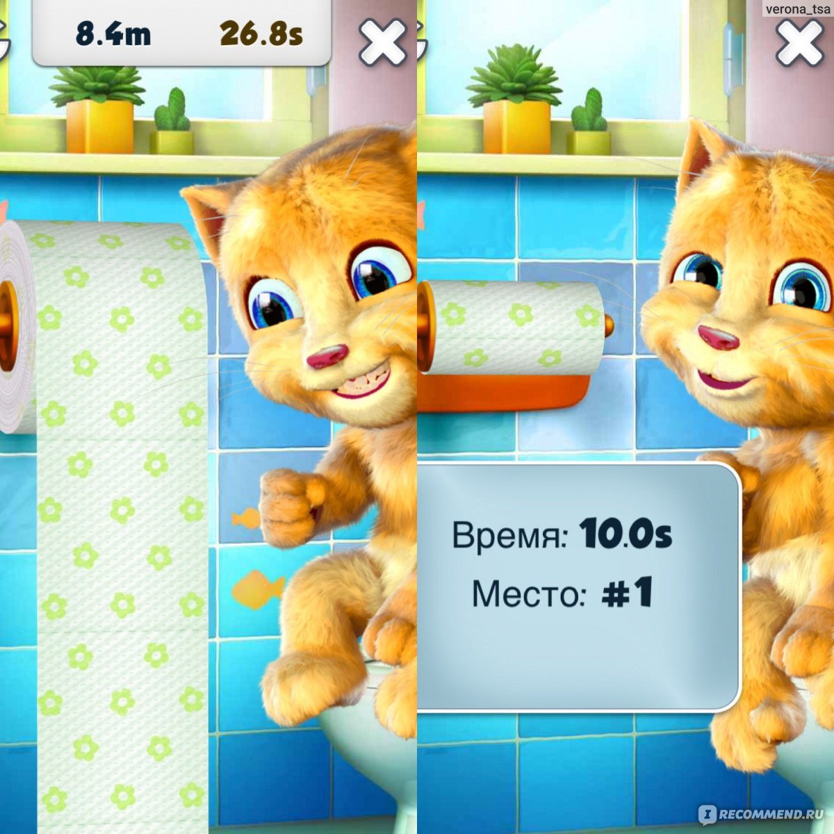 Игра говорящий Джинджер
