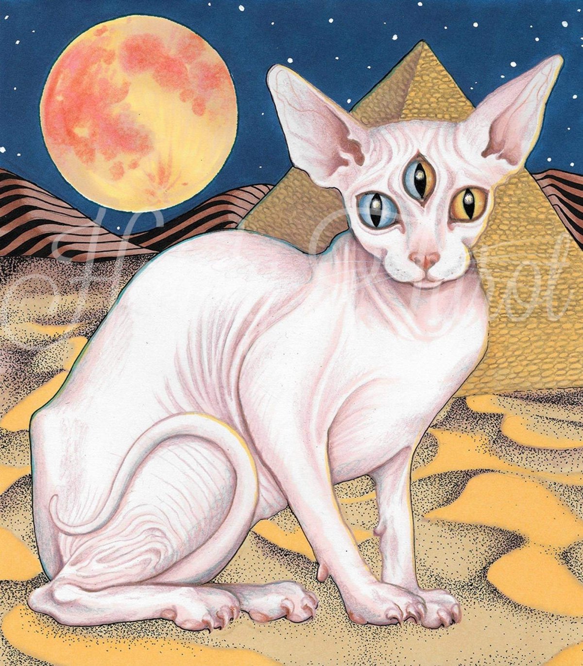 Кошка инопланетянка сфинкс