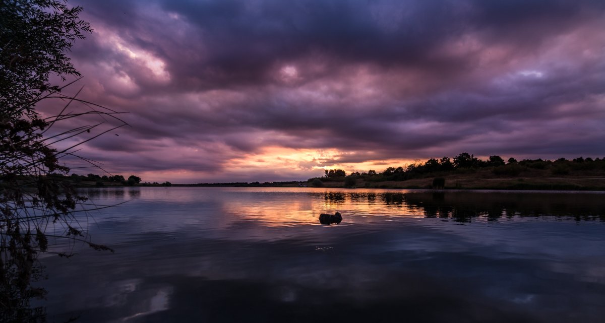 Сумерки природа