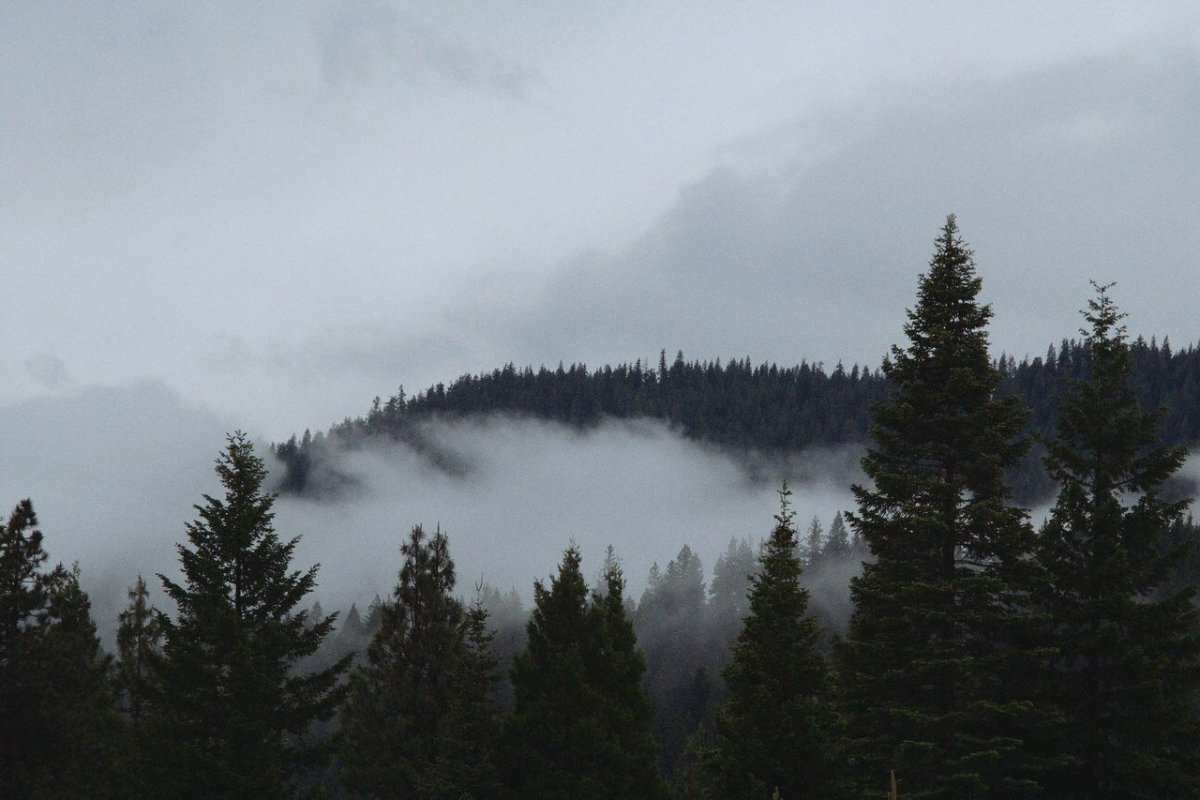 Сумерки Эстетика природа