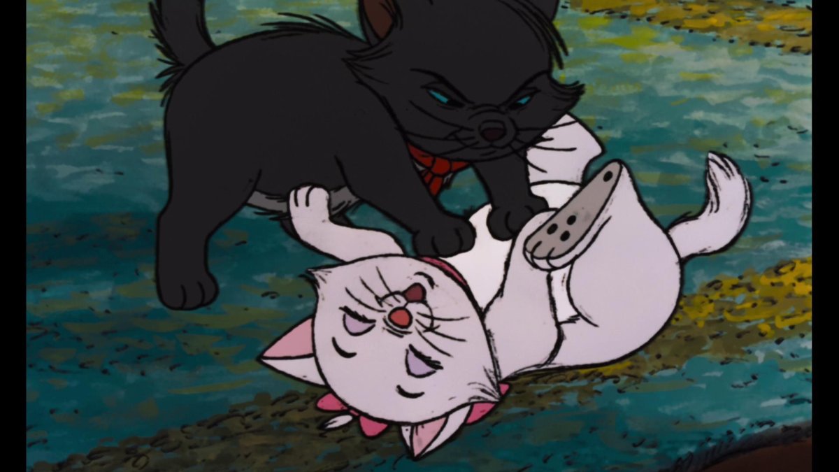 Коты Аристократы черный котенок