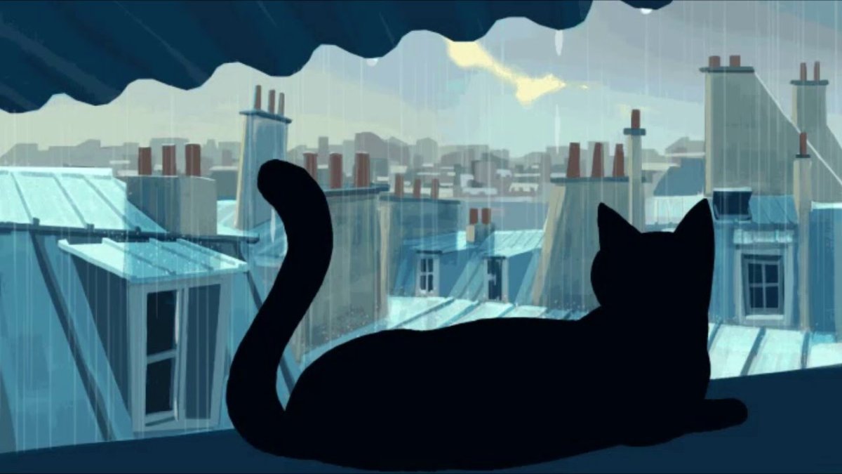Кошка на фоне ночного города