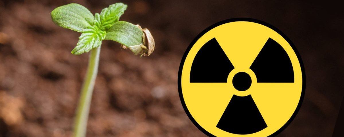 Radioactive pollution радиоактивное загрязнение