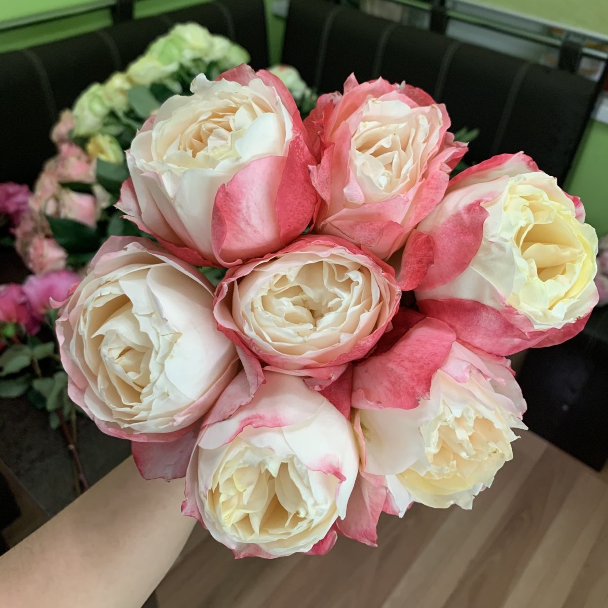 Роза сенлитсу