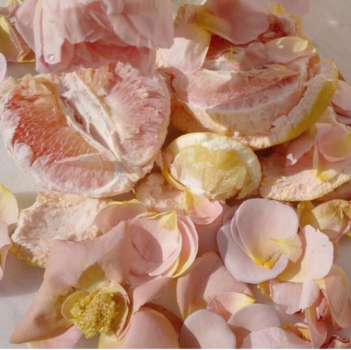 SAHAROZA aesthetic