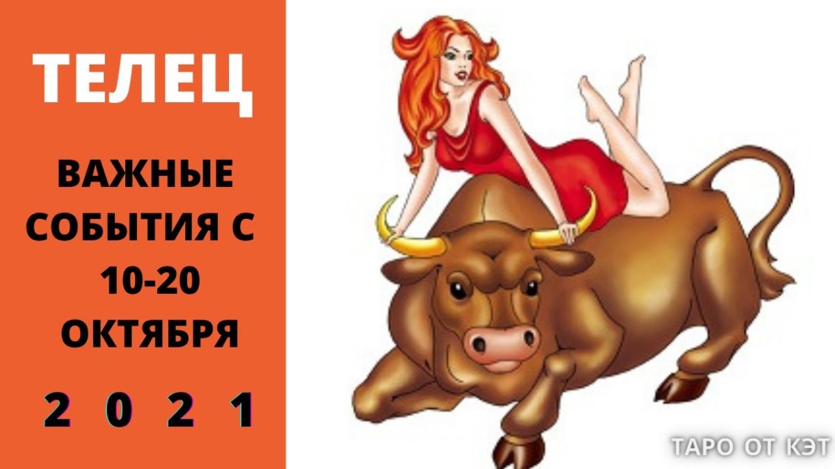 Телец картинки