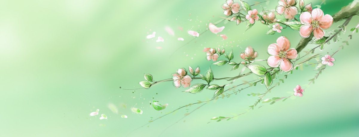 Узкие цветочные фоны