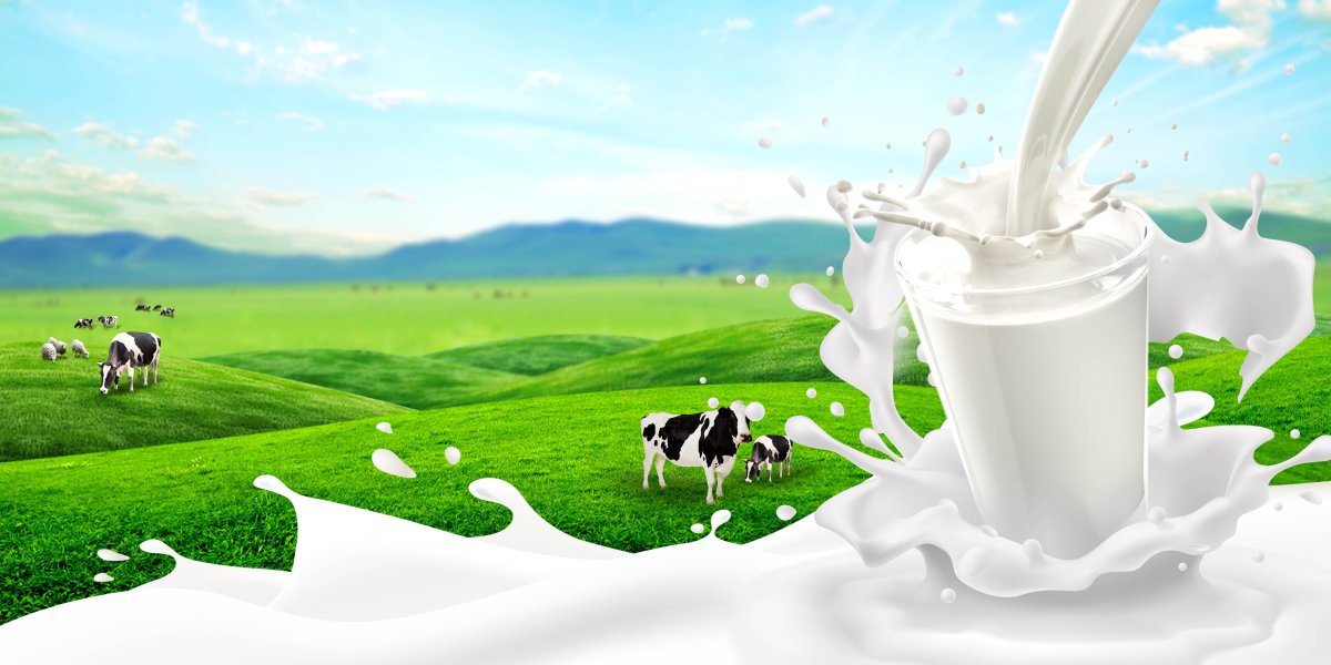 Баннер молочной продукции
