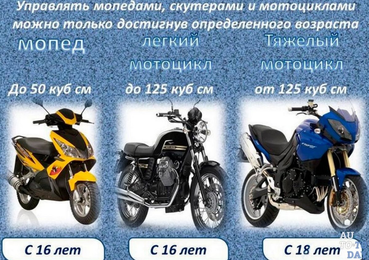 Водитель мототранспортных средств
