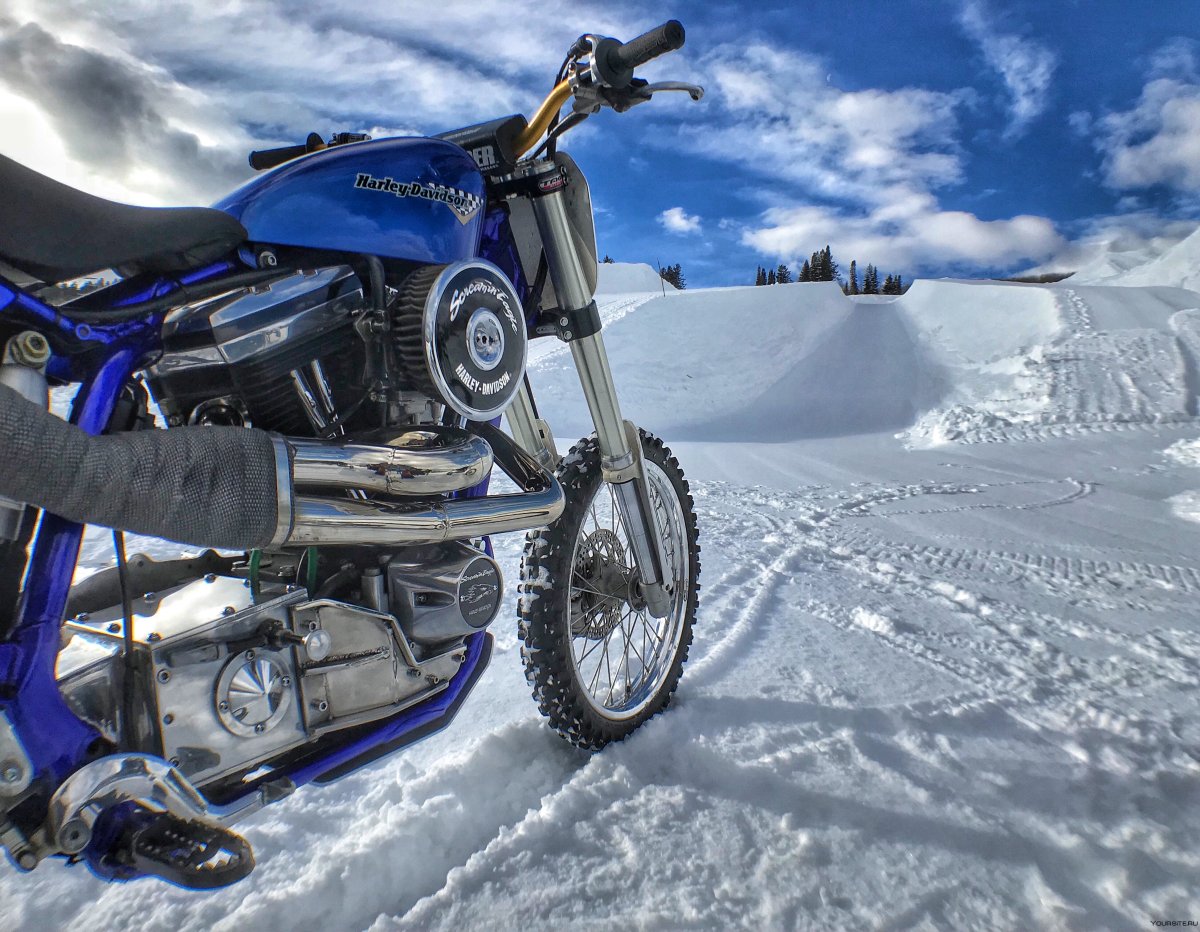 Harley Davidson зимний