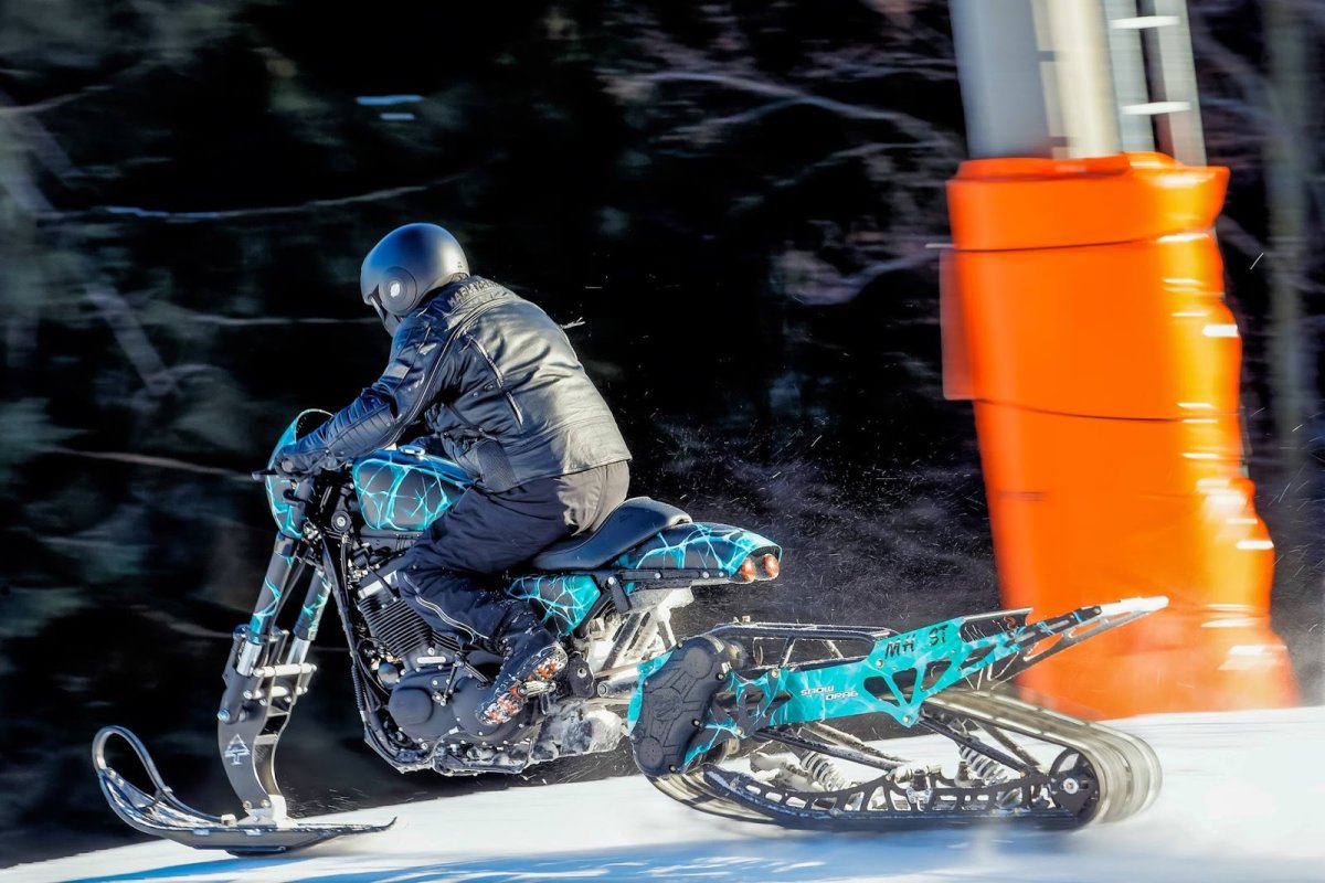 Timbersled Harley Davidson