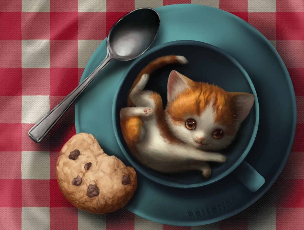 Кот с печенькой