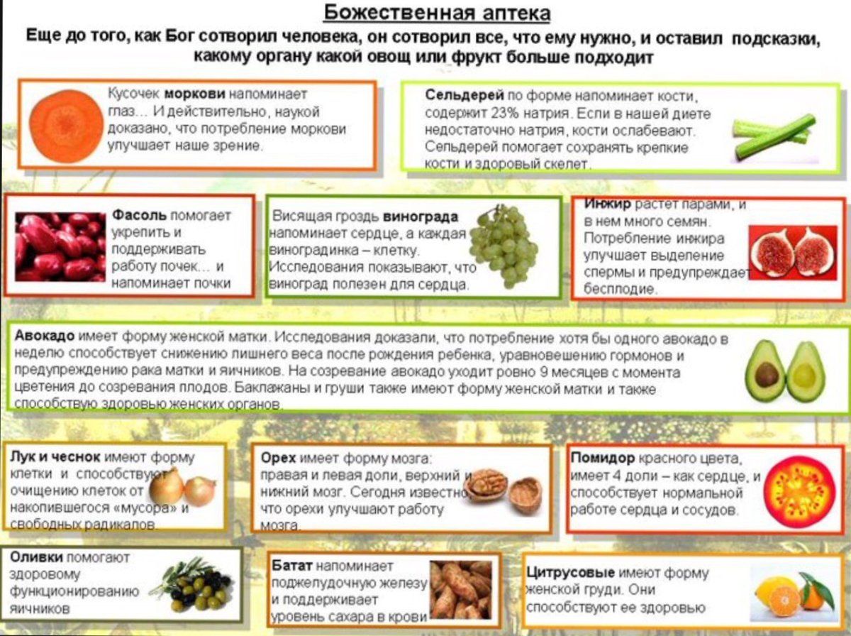 Продукты полезные для матки