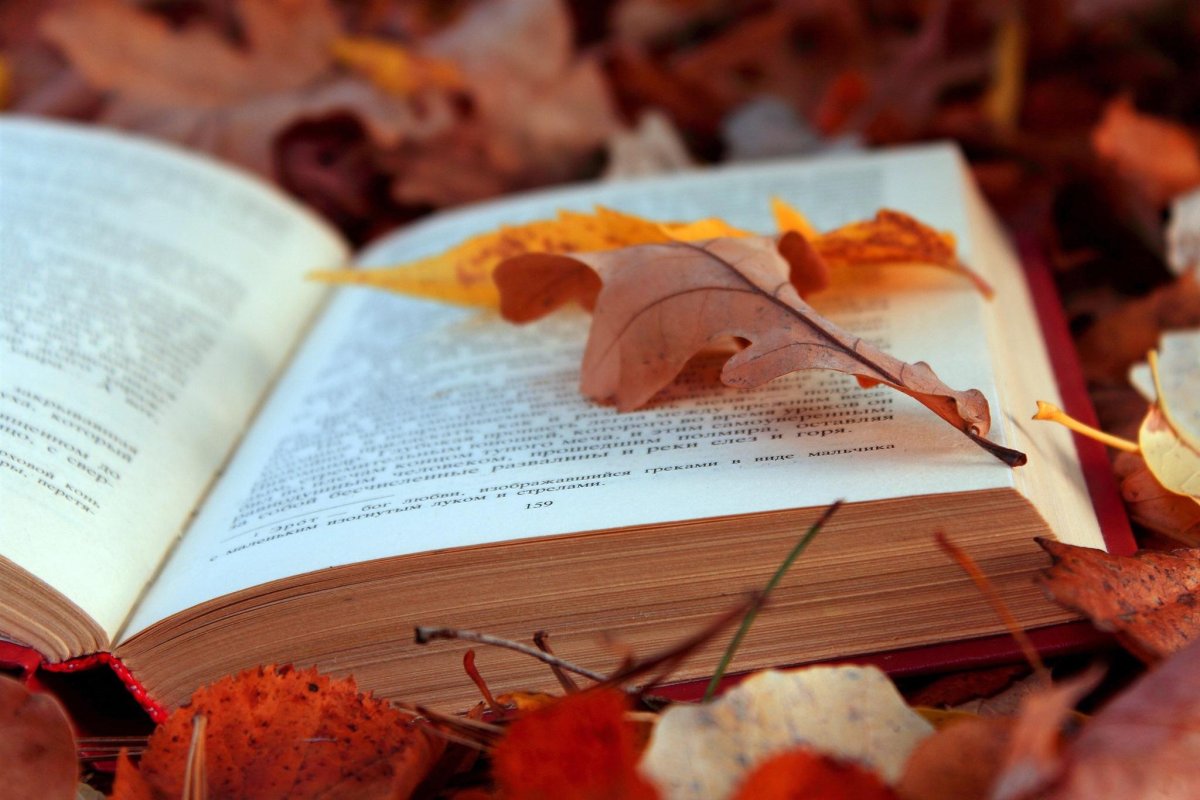 Осенняя книга