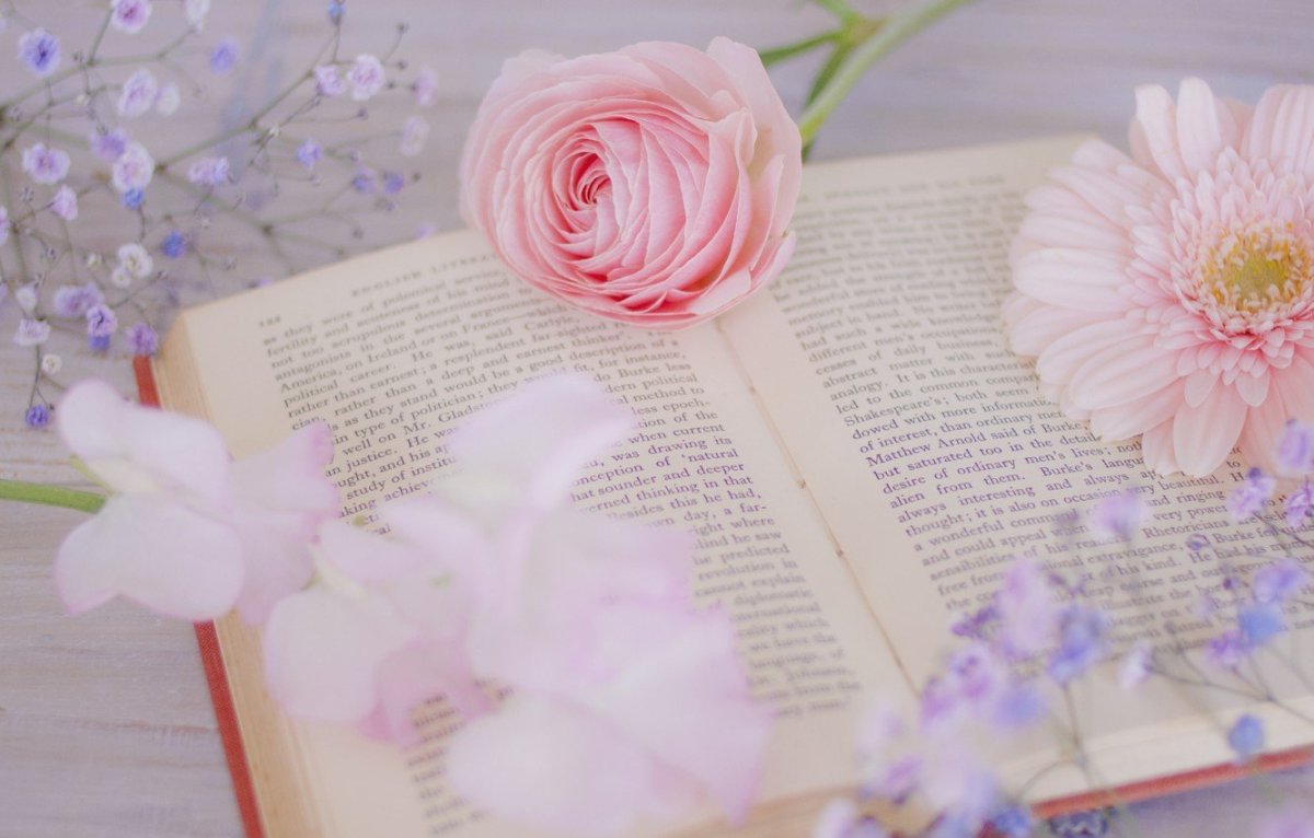 Красивые книги