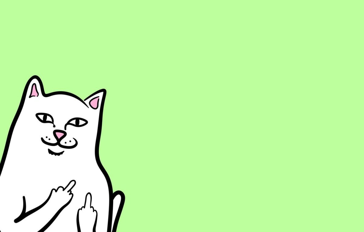 Кот Минимализм