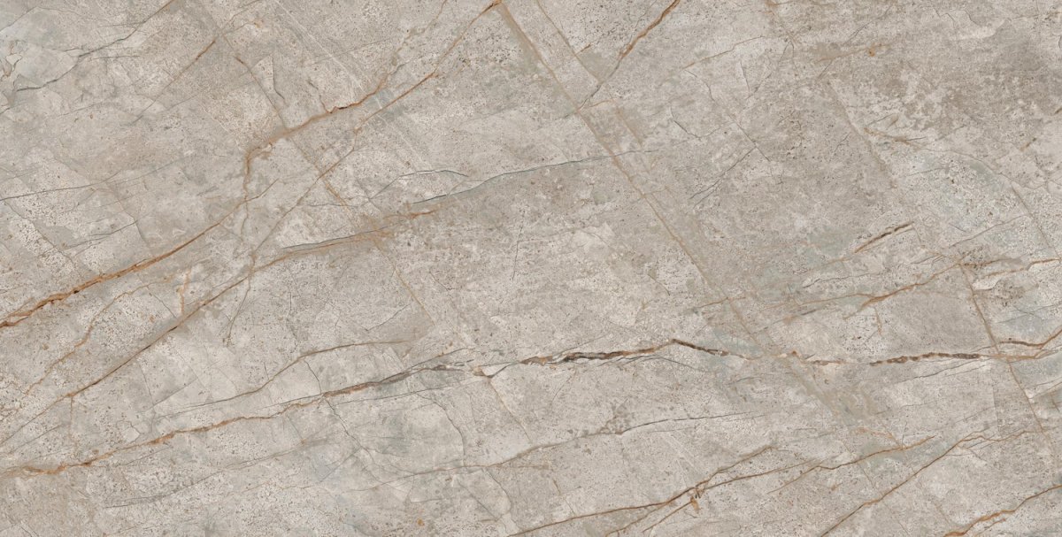 Empire Silver root rett 60x120 Lapp