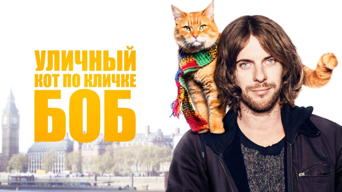 Уличные коты фильм 2016
