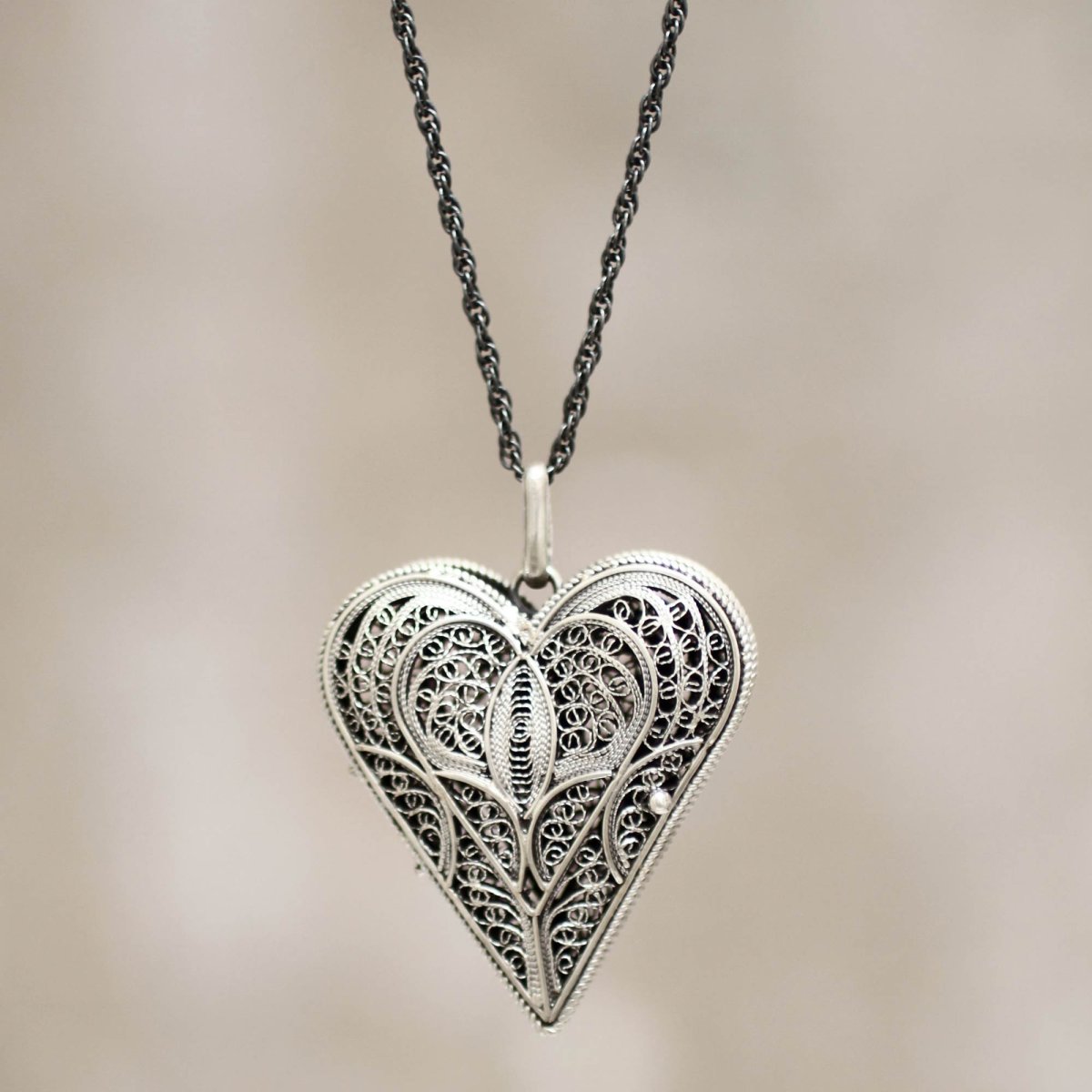 Silver Heart Shaped Locket Necklace