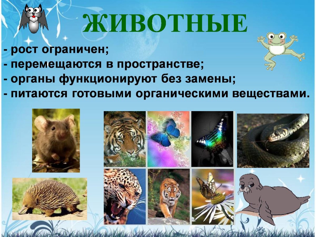 Признаки живой природы 3 класс окружающий мир
