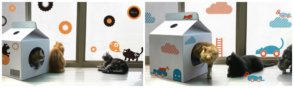 Игрушки для котят из картона