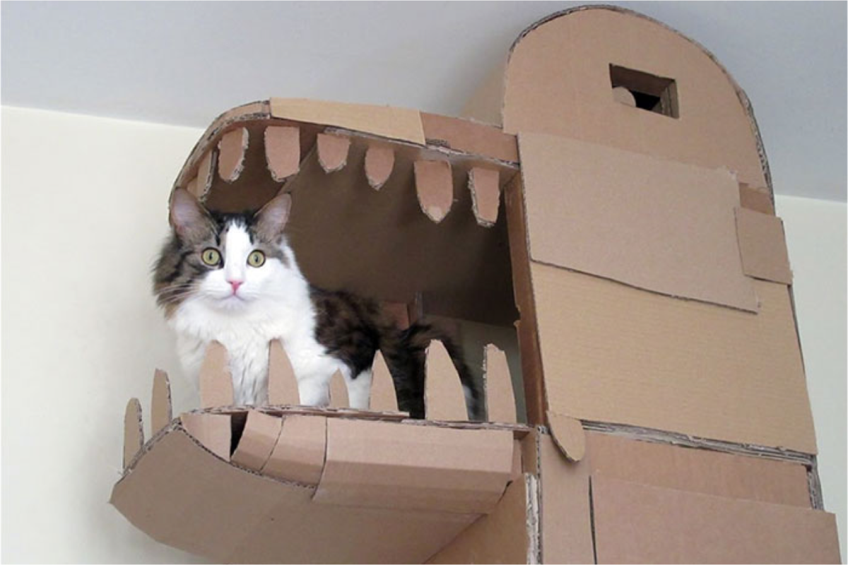 Котик в коробке из картона