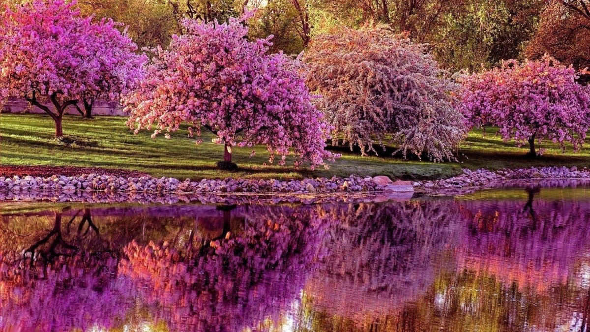 Весенний сад (Spring Topiary Garden)