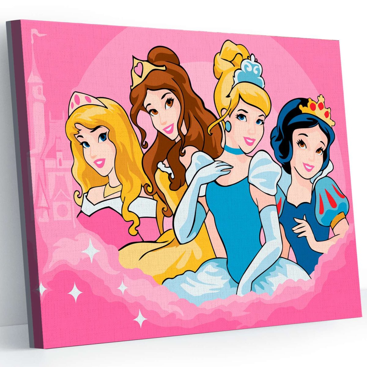 Картина по номерам принцессы Disney