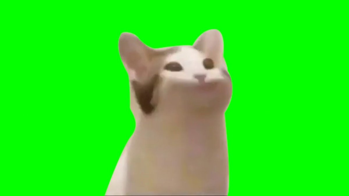 Голова Pop Cat на зеленом