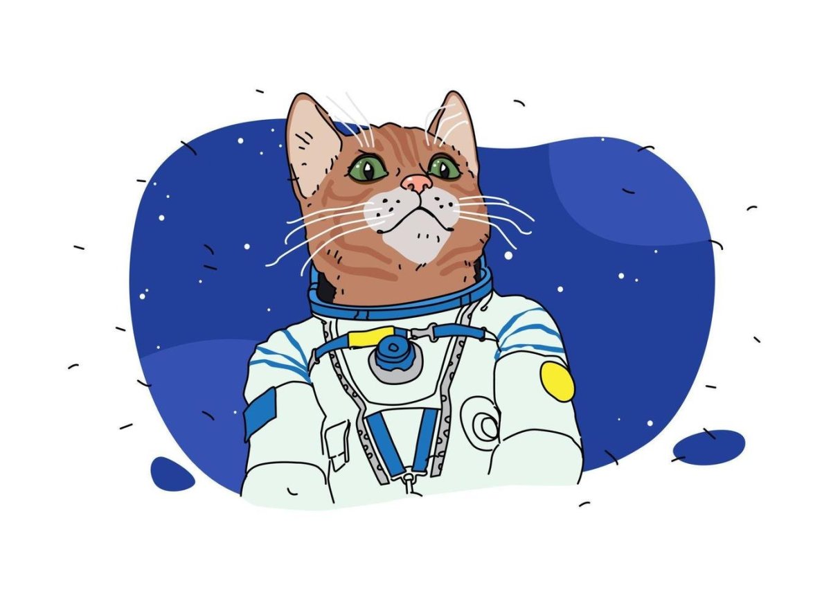 Кот космонавт мультяшный