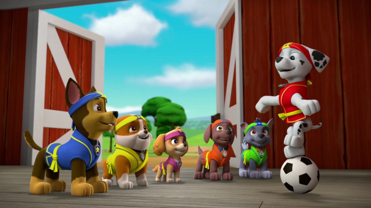 Paw Patrol 2013
