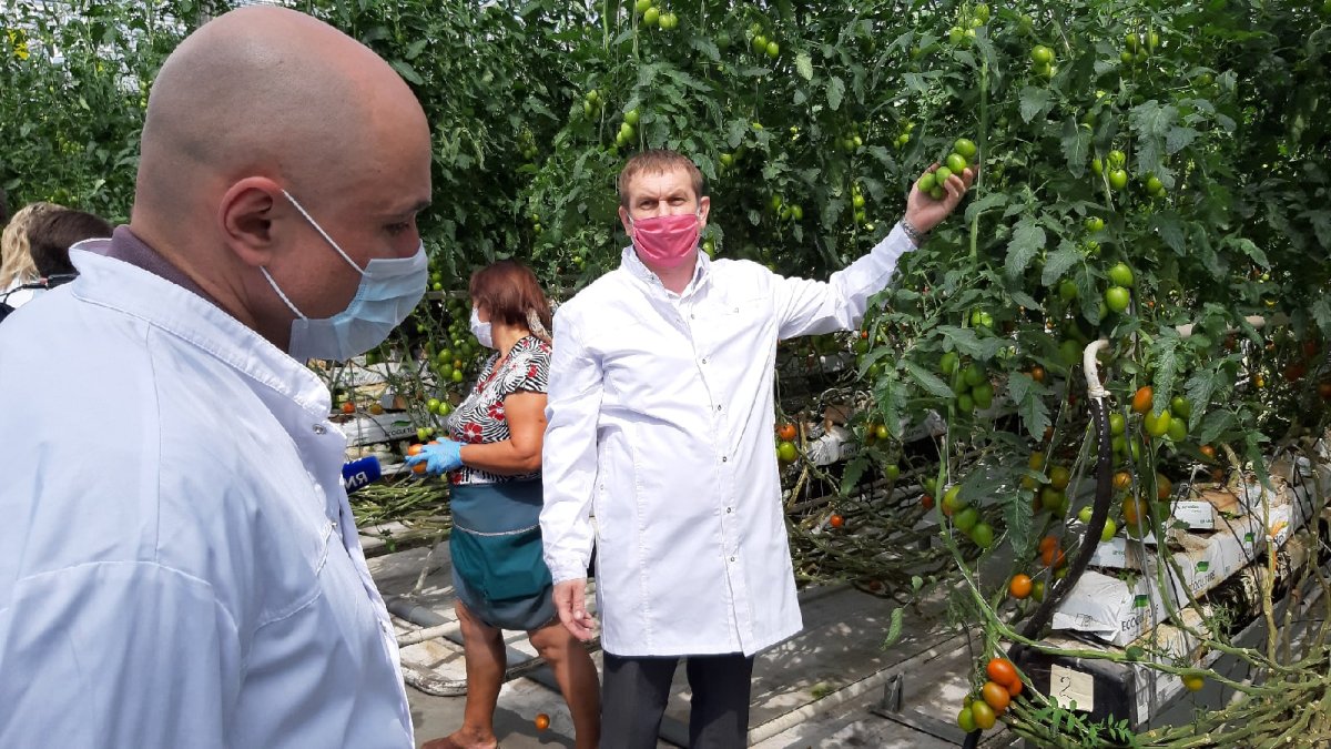 Тепличный комплекс «овощи Черноземья» Липецкая область