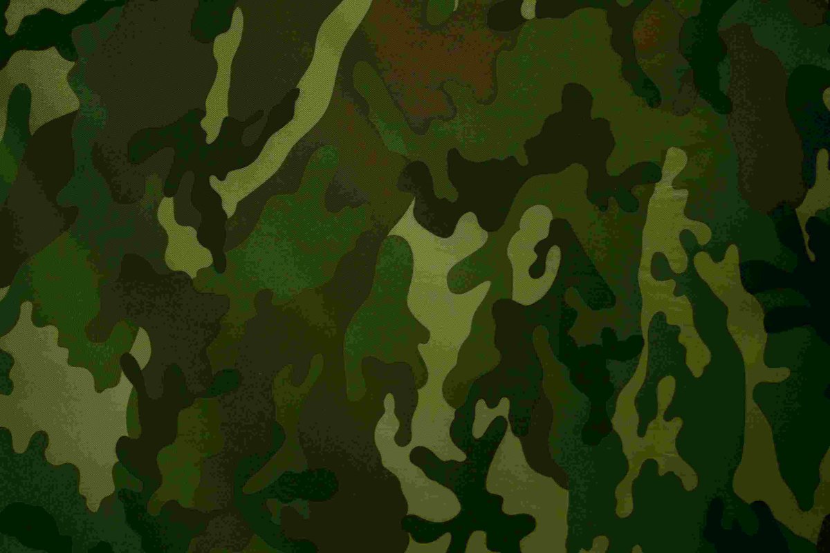 Цвет хаки цвет хаки камуфлированные