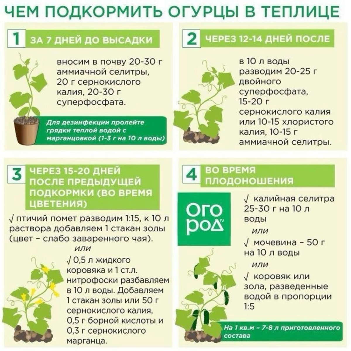 Схема листовых подкормок огурцов