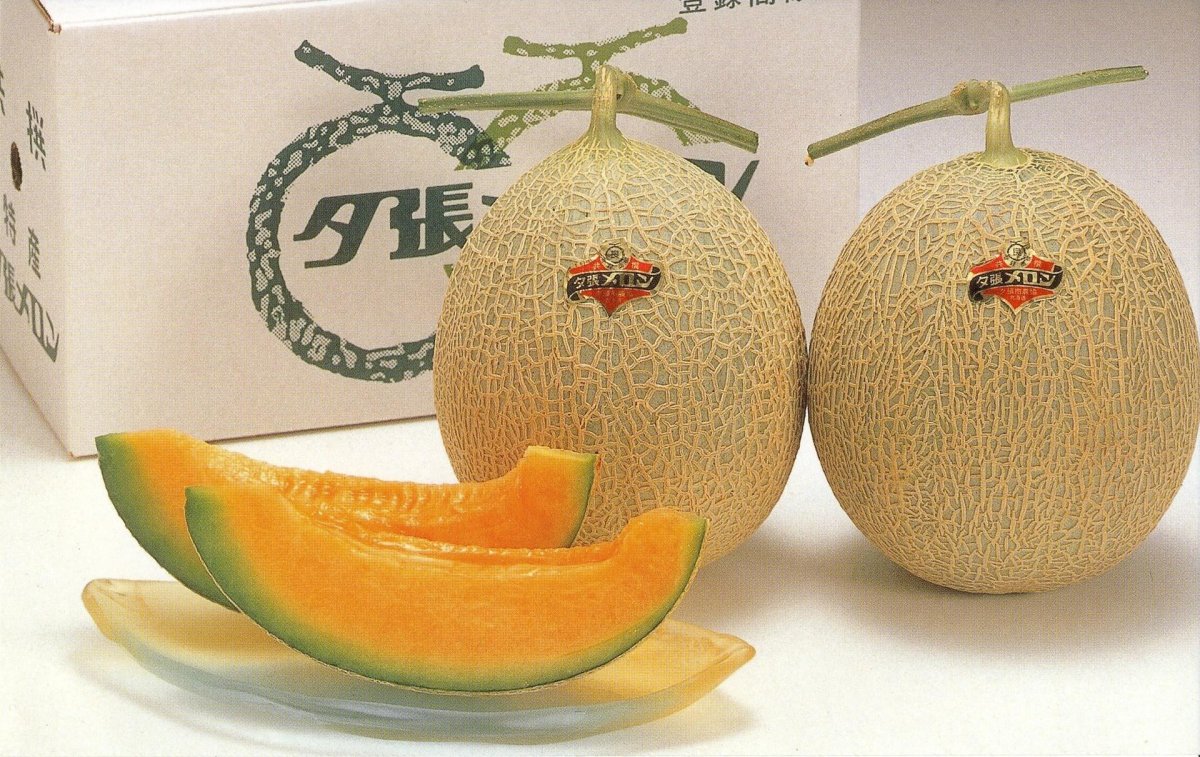 Дыня Король Юбари
