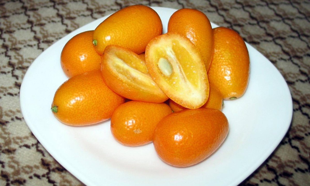 Фрукт маленький оранжевый кумкват