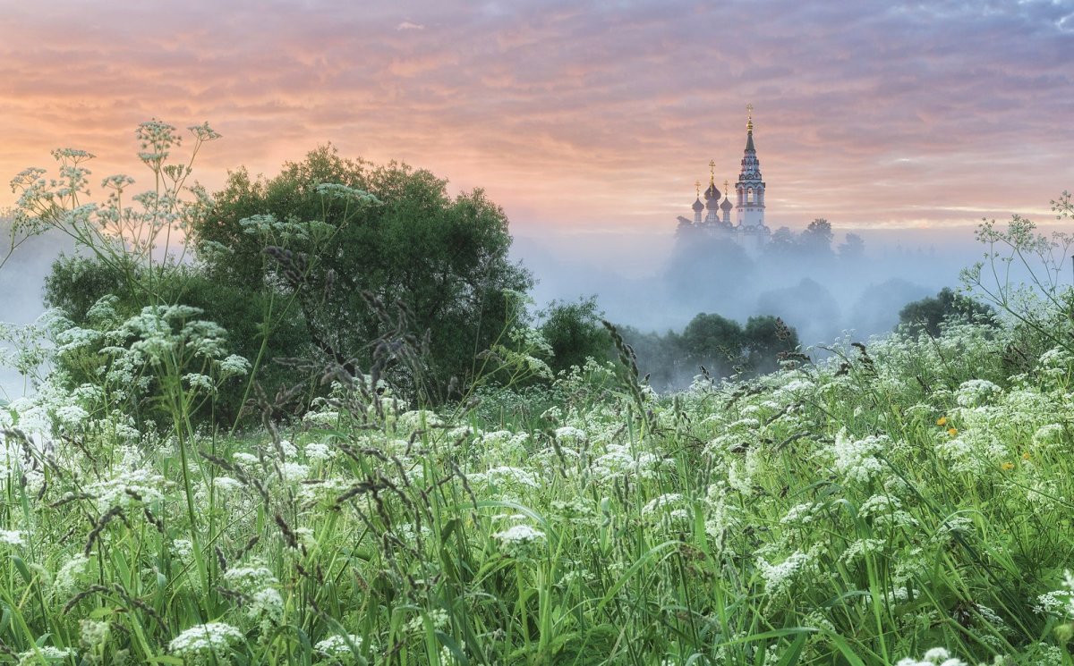 Фотограф Сергей Давыдов