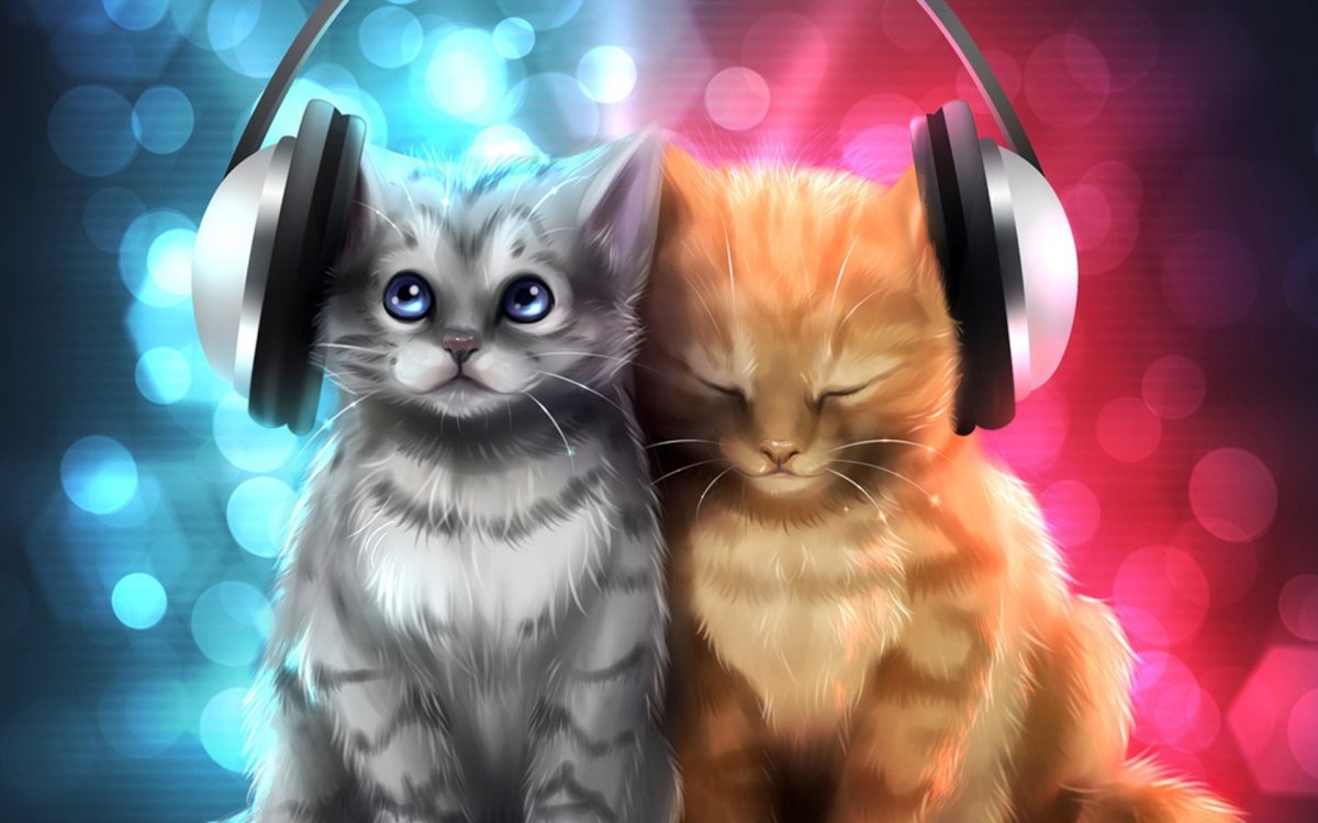 Арты котят