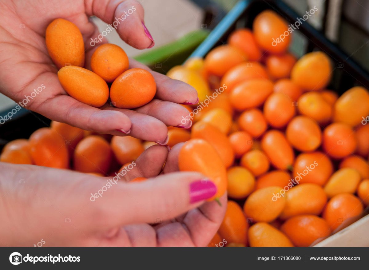 Негр держит кумкваты