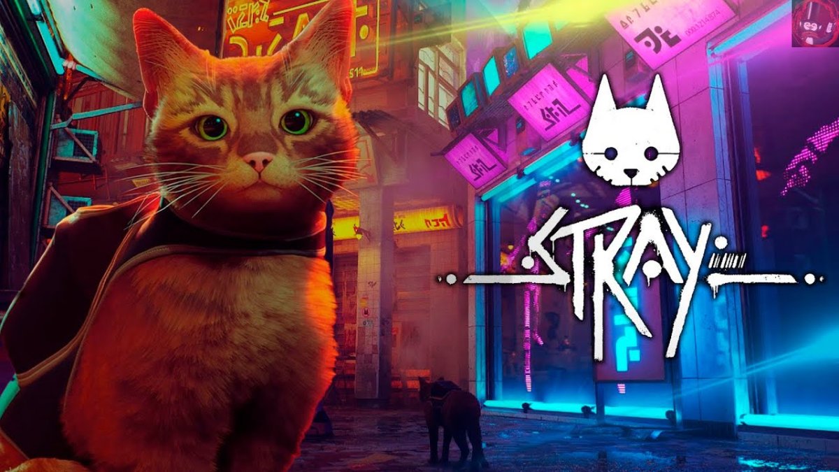 Игра про кота 2022 Stray