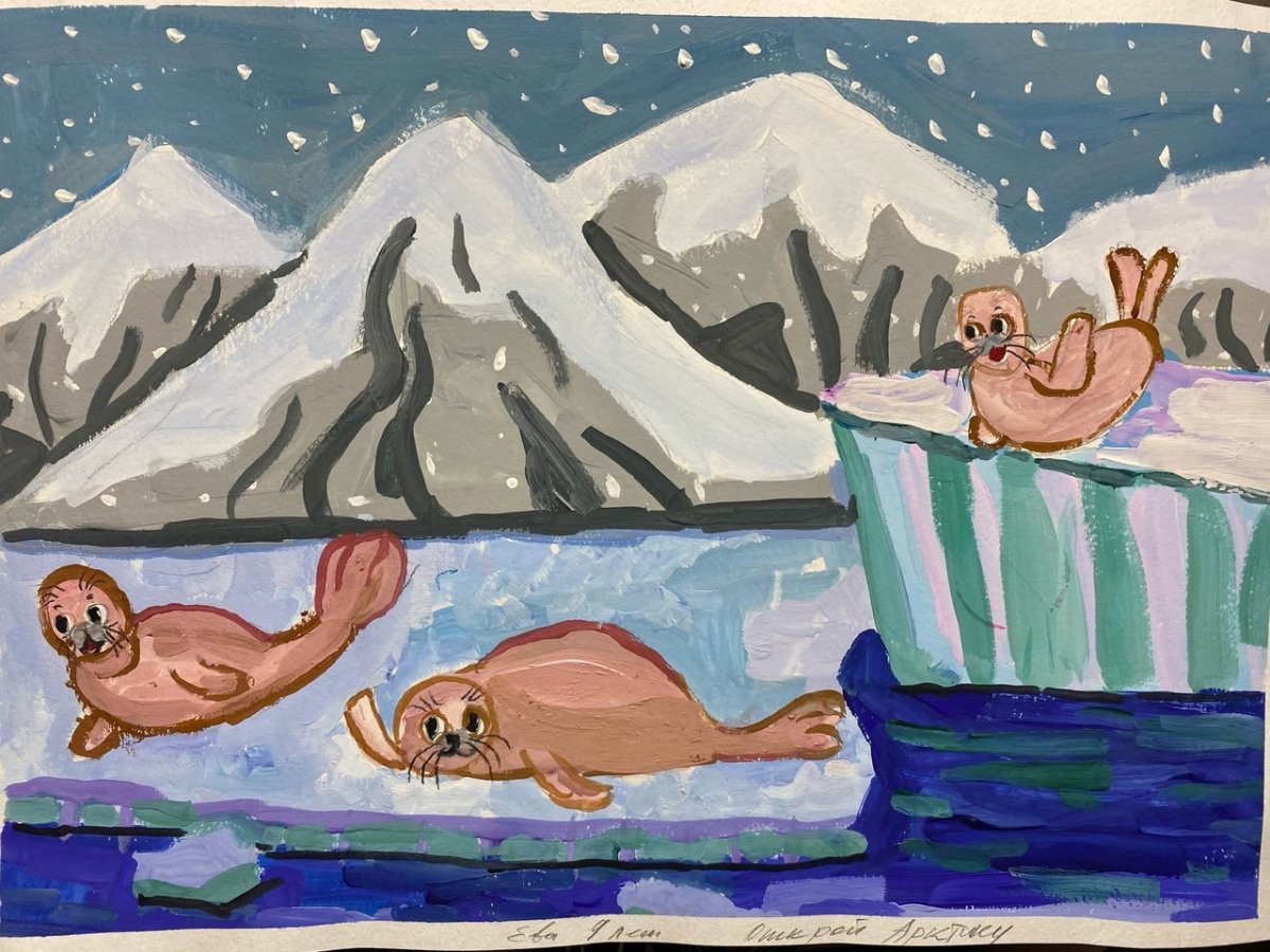 Произведение морские котики