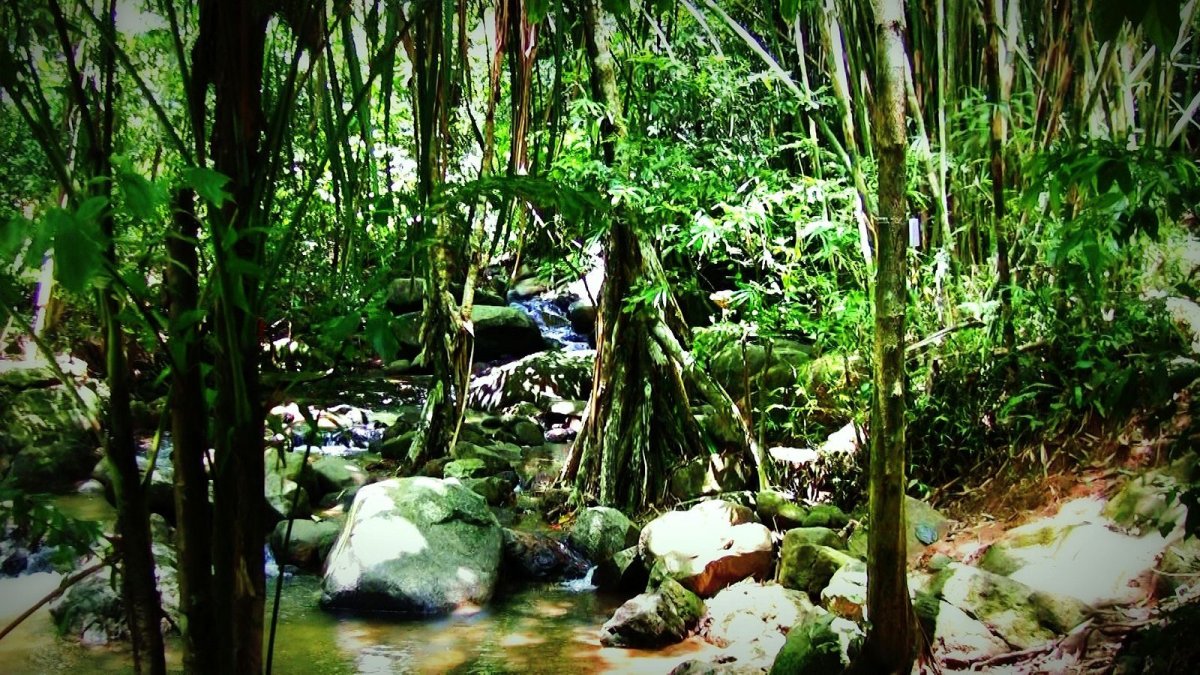 Khao Phra Thaeo National Park