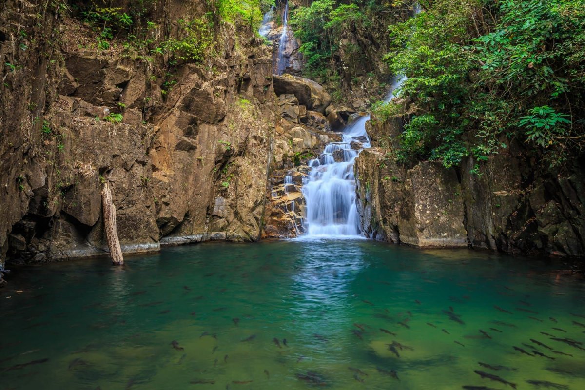 Khao Yai National Park