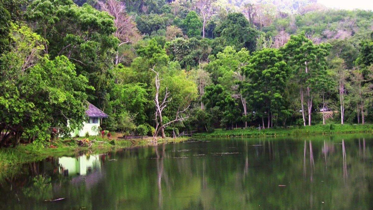 Парк Khao Phra Thaeo (Пхукет)