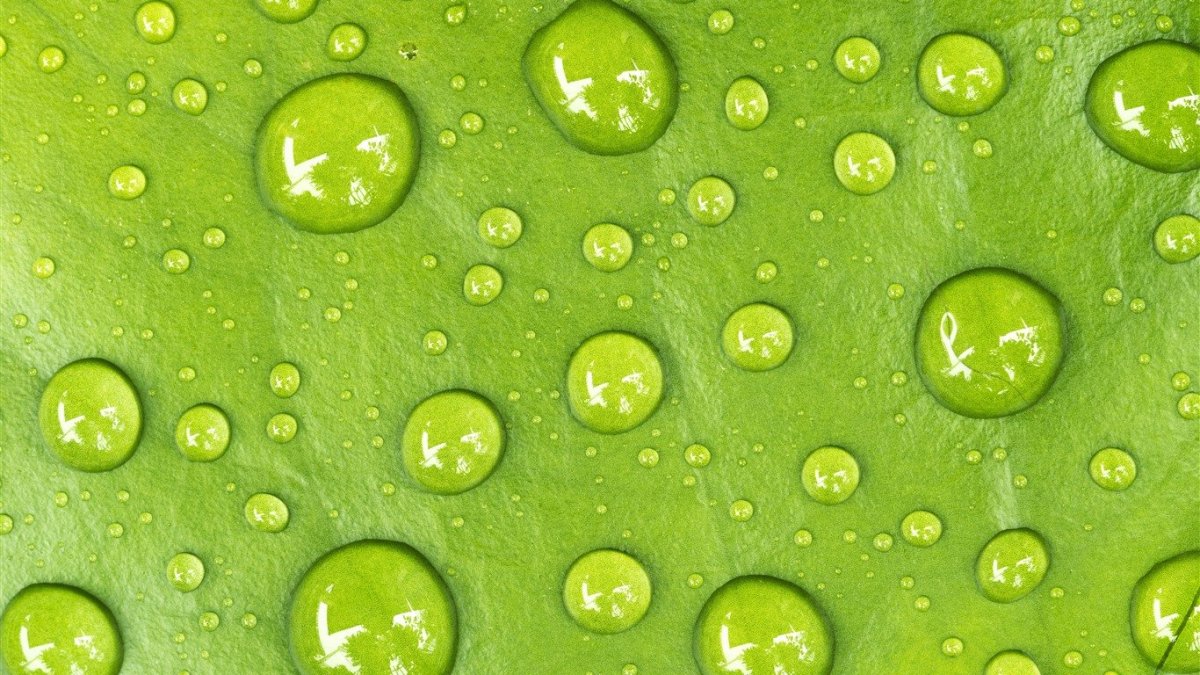 Капли воды