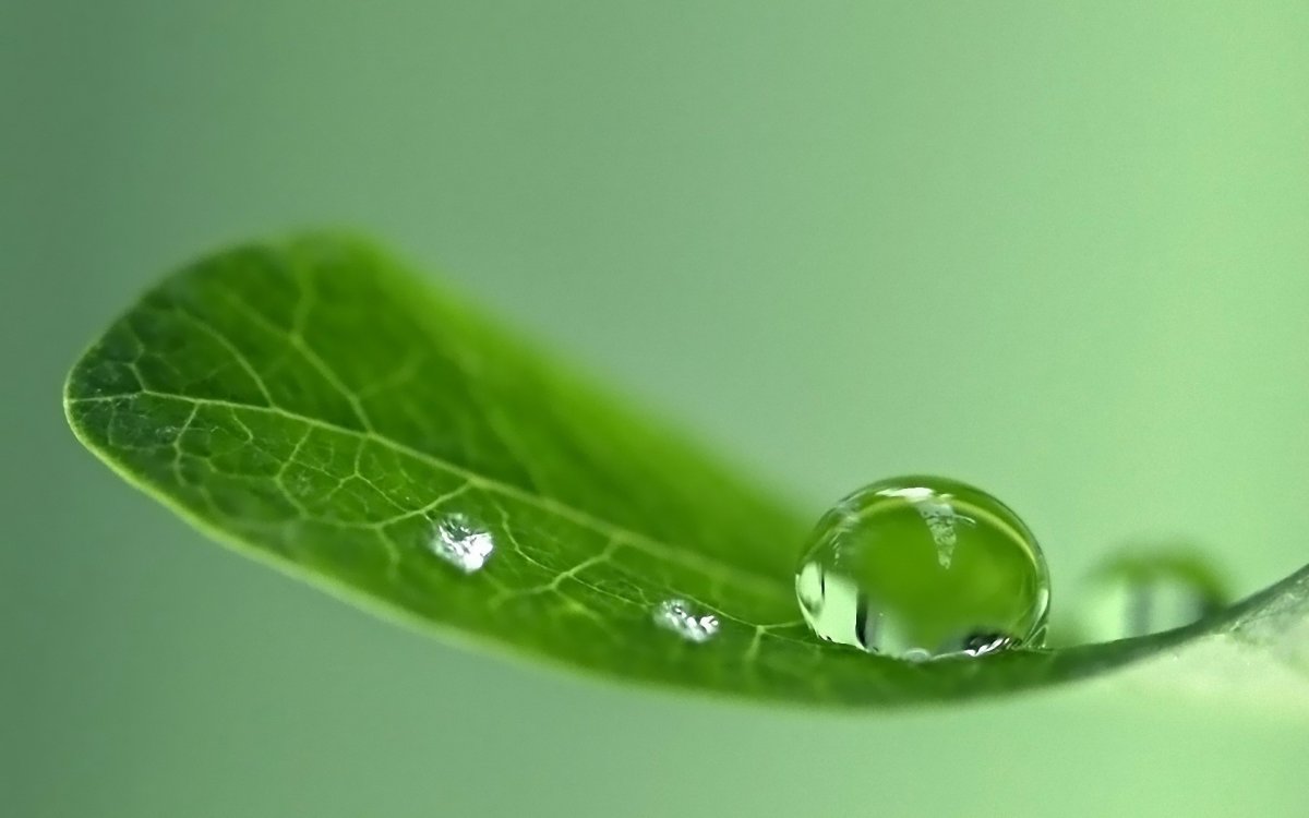 Капельки воды с листиком