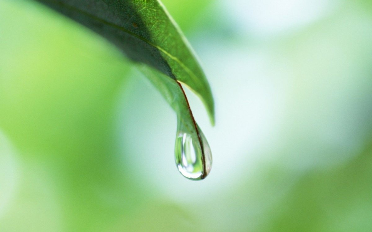 Капля воды