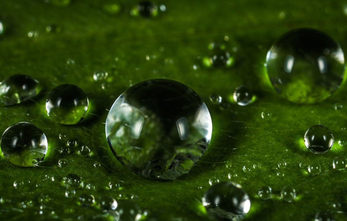 Вода Зелена красивая